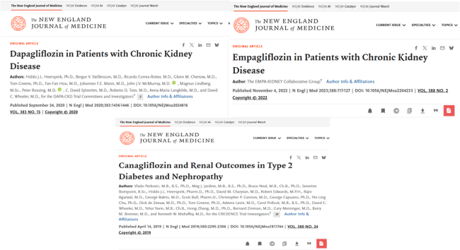 Research Papers Screenshots