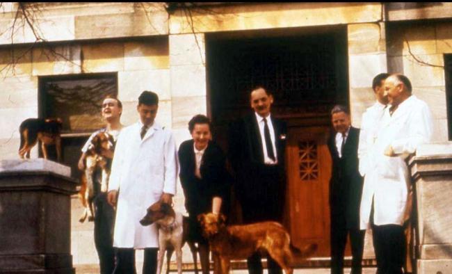 Roy Calne (white coat) with dogs Tweedledee, Titus and Lollipop, recipient of the first successful long-term organ transplant using azathioprine (Copyright of and with permission from Sir Roy Calne)