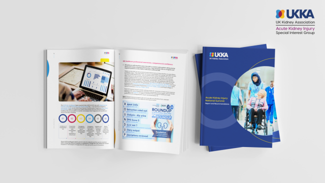 Image - AKI National Summit report