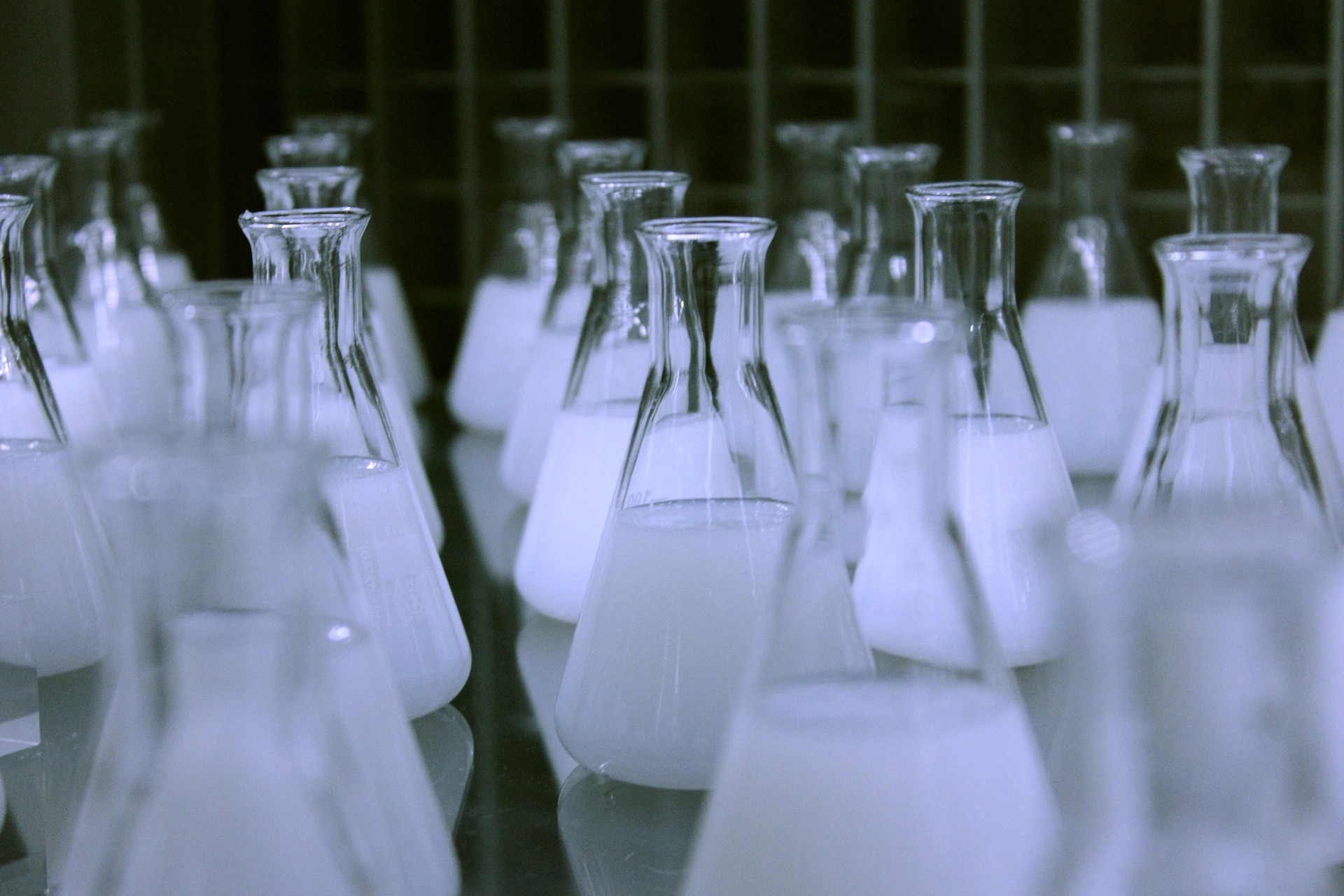 Rows of Laboratory Flasks